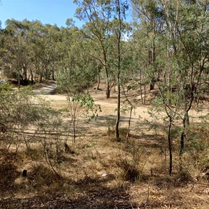 Reedy creek camp