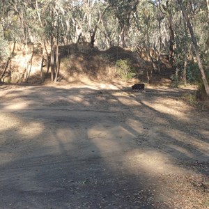 Reedy creek camp
