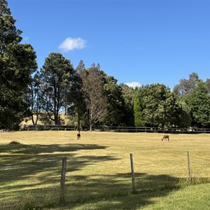 $5 Paddock Camp