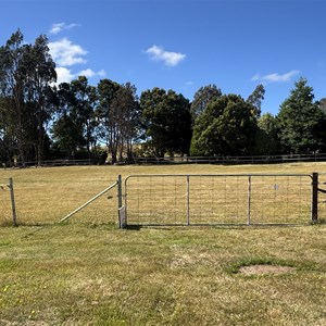 $5 Paddock Camp
