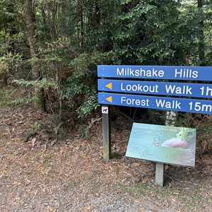 Trail head