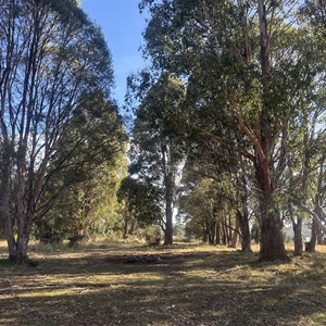 Bradys Lake Woodwards Canal Campsite