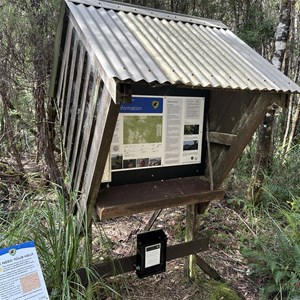 Frenchmans Cap Trail Head