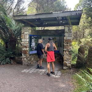Nelson Falls Track