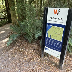Nelson Falls Track