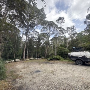 Henty River Bridge