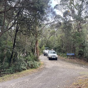 Henty River Bridge