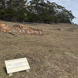 Twelve Apostles Cottage Sites