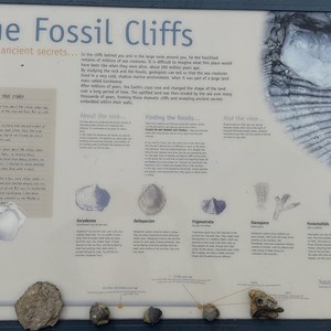 The Fossil Cliffs and Quarry