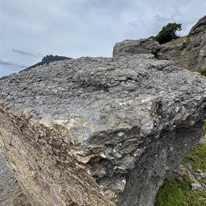 The Fossil Cliffs and Quarry