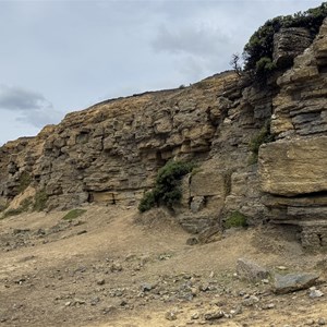 The Fossil Cliffs and Quarry
