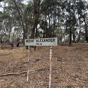 Mount Alexander