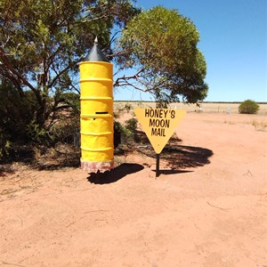 Honey Bins