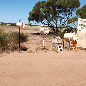 Honey Bins