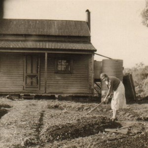 Strauss House on One Tree Hill