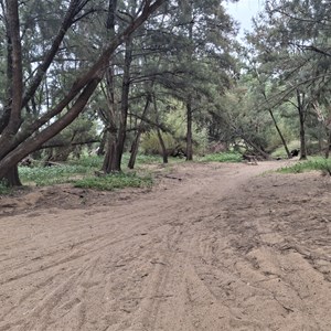 Crusher Bush camp
