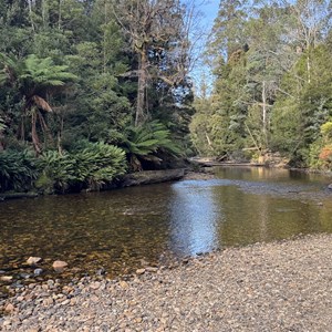 Styx Tall Tree Reserve