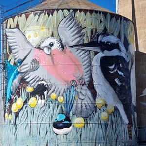 Tungamah Silo Art