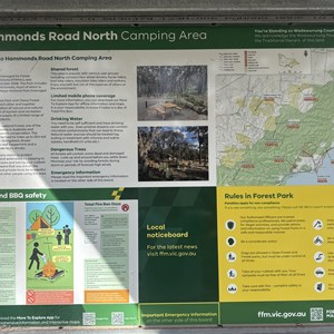 Hammond Road North camping area