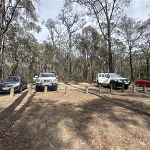Distillery Creek & Currawong Falls