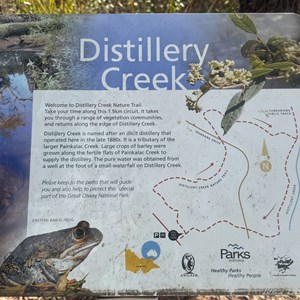 Distillery Creek & Currawong Falls
