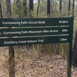 Distillery Creek & Currawong Falls