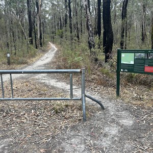 Currawong Falls MTB Trail head