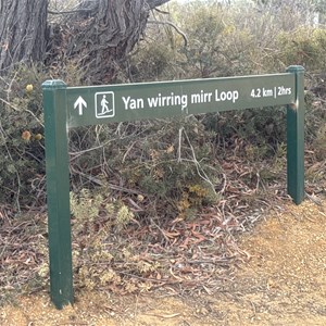 Yan wirring mirr Loop
