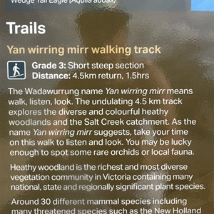 Yan wirring mirr Loop