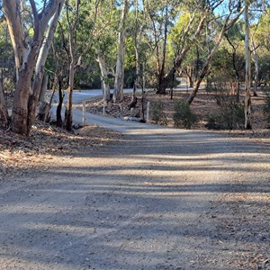 Douglas scrub camp