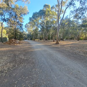Douglas scrub camp