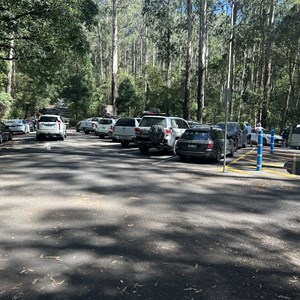 Erskine Falls Trail & Carpark