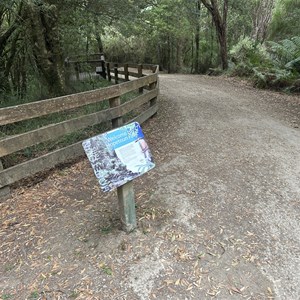 Hopetoun Falls Walk