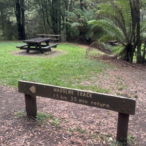 Melba Gully (Madsen Track) Nature Walk