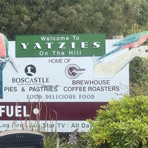 Yatzies