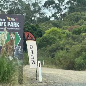 Great Ocean Road Wildlife Park