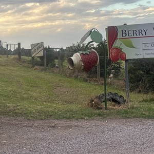 Berry World & Berry Good Thai Restaurant
