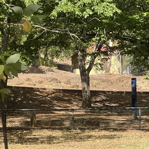 Vaughan Springs