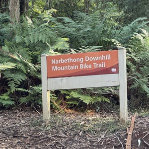 Narbethong Downhill MTB Track