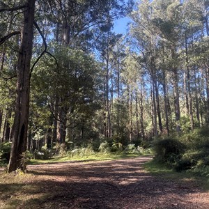 Winch Rd Camp