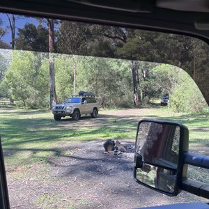 Open and flat camp site