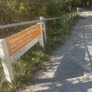Steavenson Falls Lookout & Carpark