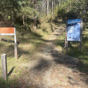 Keppel Lookout Trail