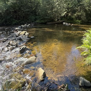 Taggerty River Picnic Area
