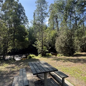Taggerty River Picnic Area