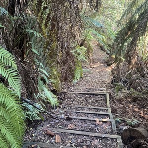 Phantom Falls Walk