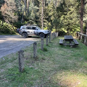 Taggerty Cascades & Meeting of the Waters Trail
