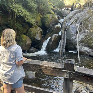 Taggerty Cascades Lower