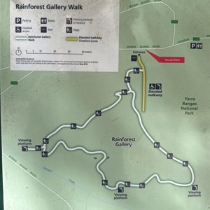 Rainforest Gallery walk