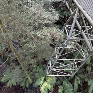 Elevated Lookout